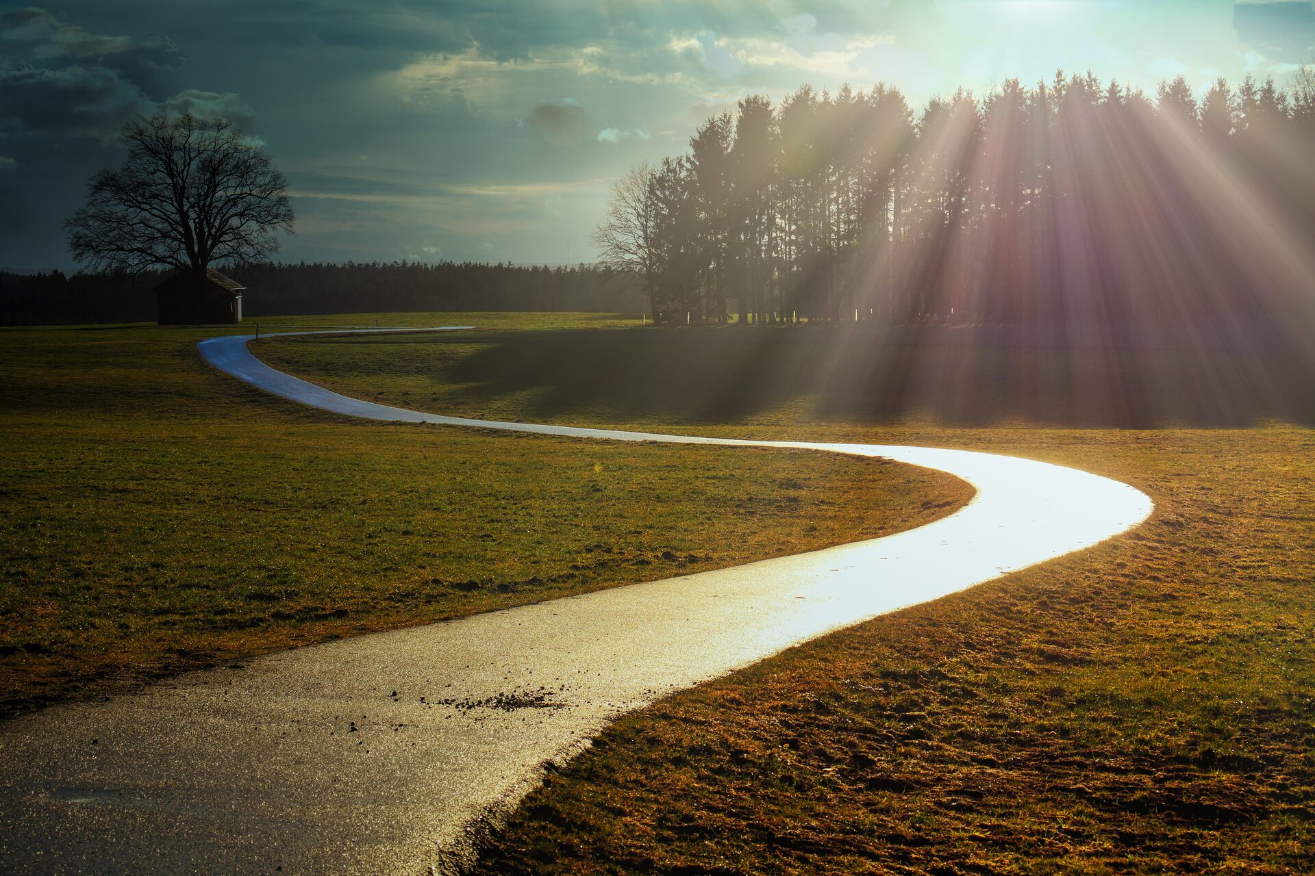 Chemin de terre traversant un paysage naturel ouvert